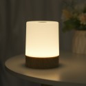 Portable USB Night Light with Remote 13 Colors & 3 Lighting Modes Timer Function Dimmable Touching Control Bedside Table Desk Lamp for Bedroom Living Room